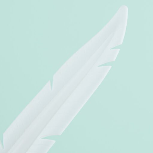 Feder Stift (sortiert)