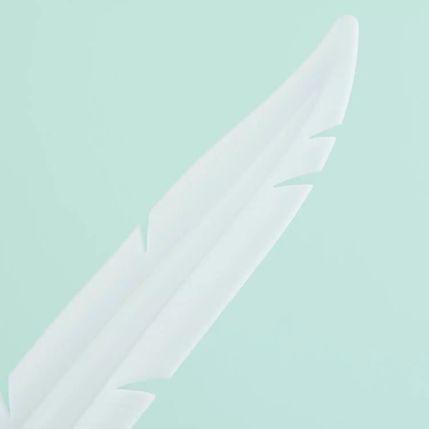 Feder Stift (sortiert)