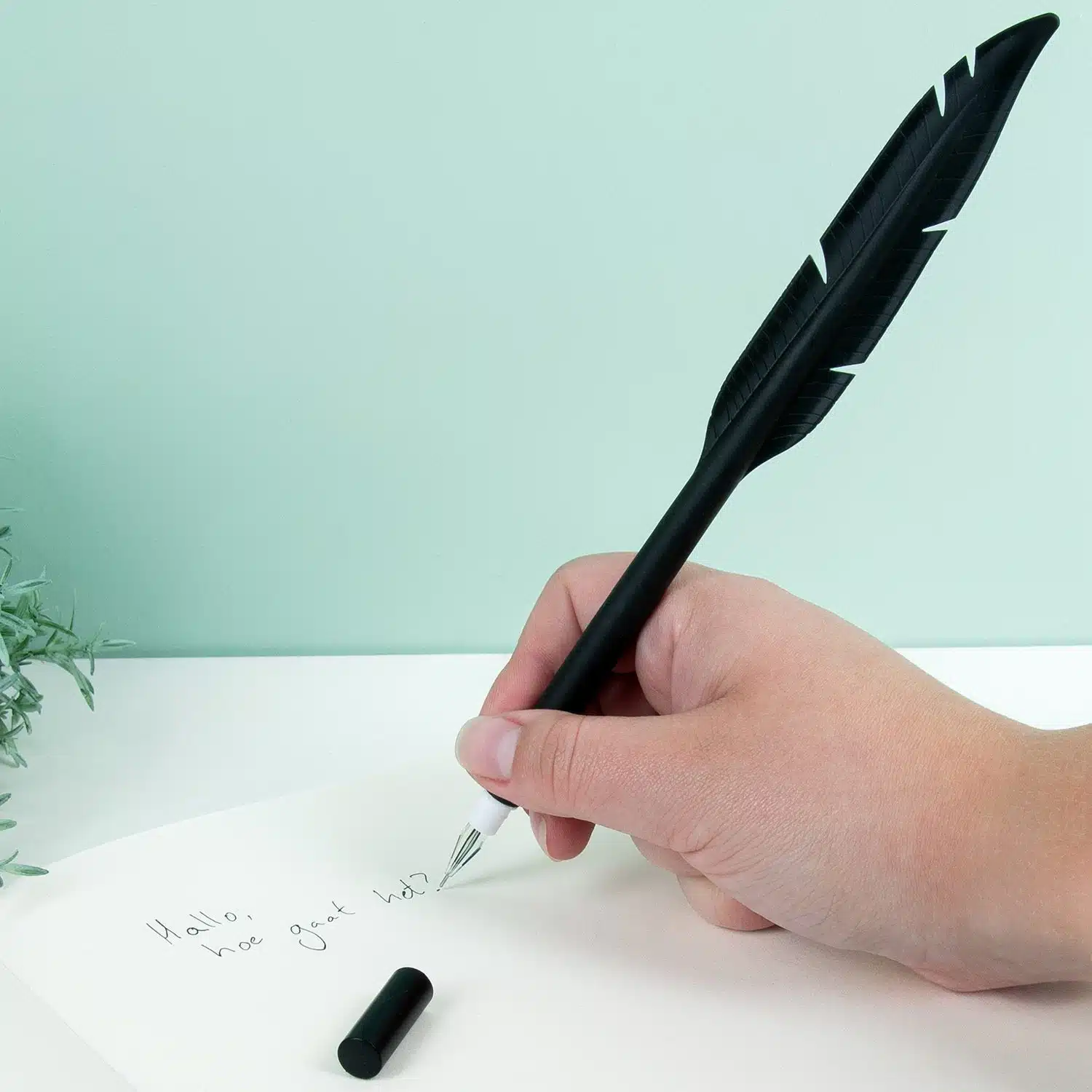 Feder Stift (sortiert)