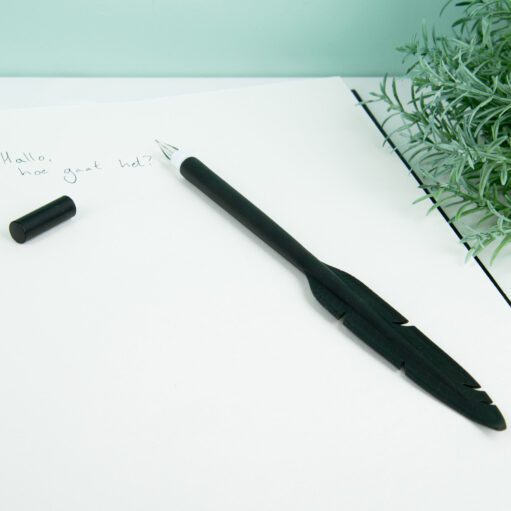 Feder Stift (sortiert)