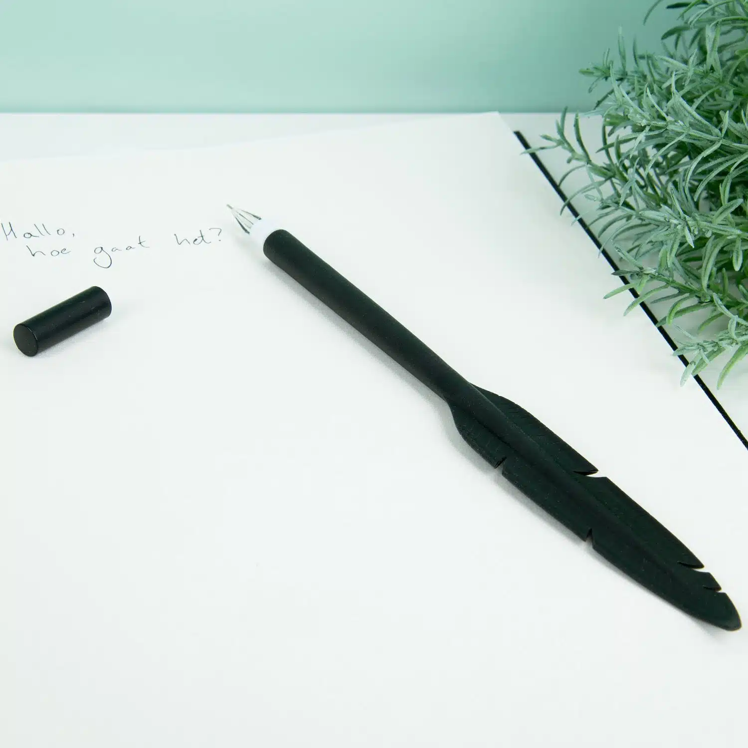 Feder Stift (sortiert)