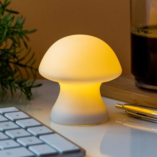 Pilzlampe