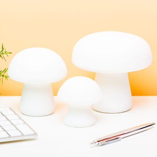 Pilzlampe