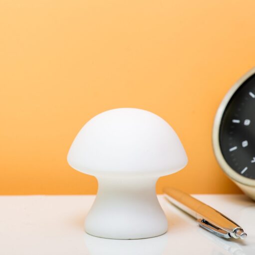 Pilzlampe