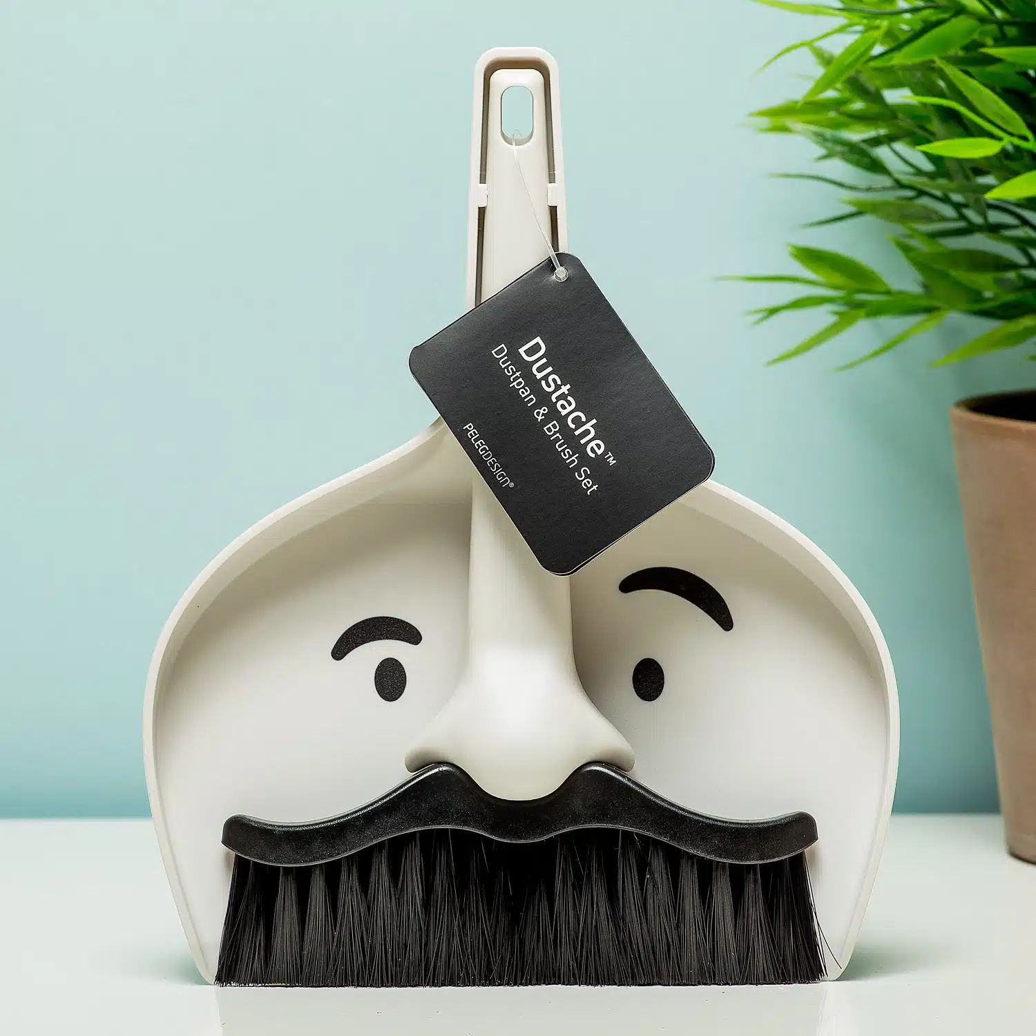 Dustache Kehrschaufel und Besen