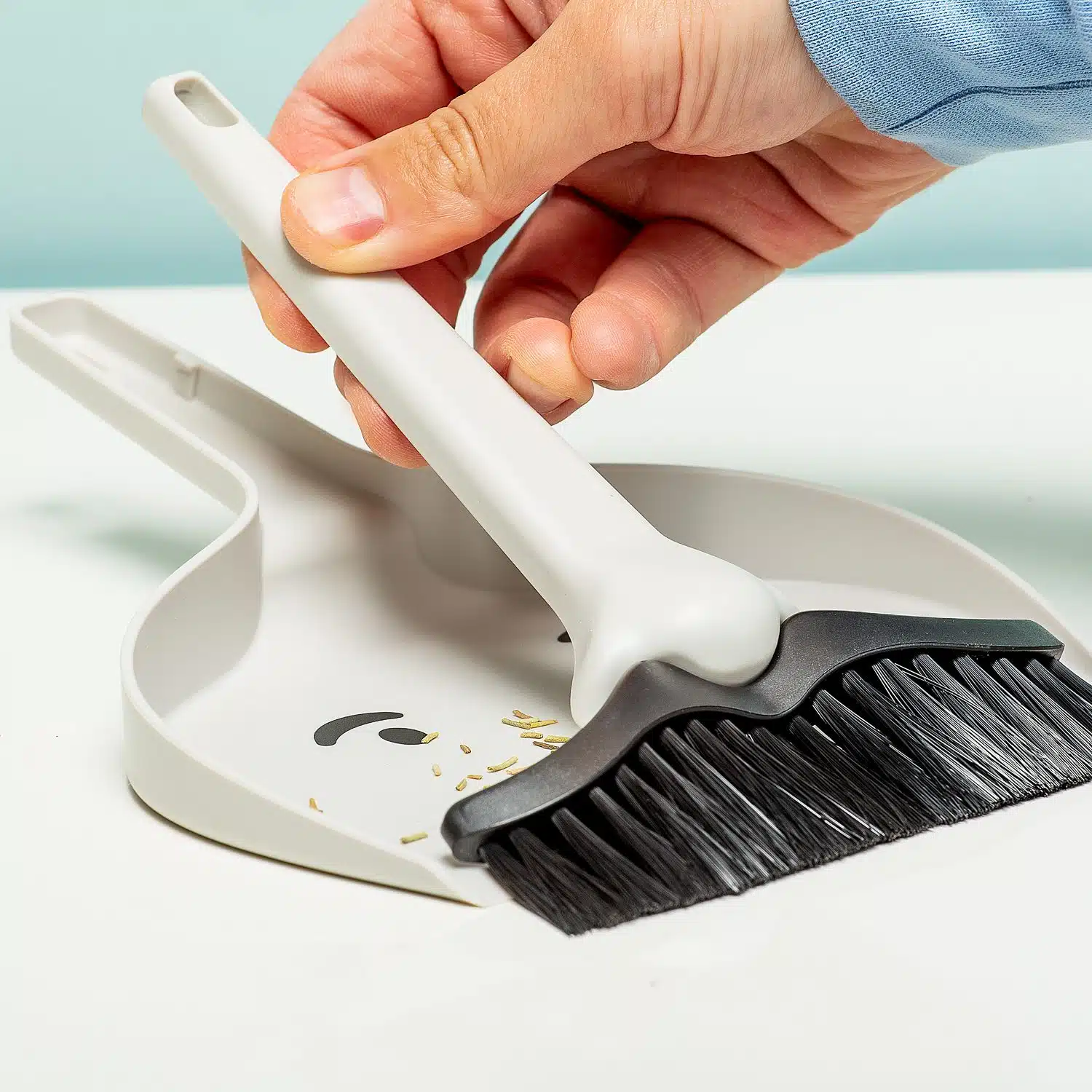 Dustache Kehrschaufel und Besen