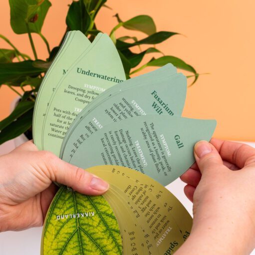 Handbuch für gesunde Pflanzen