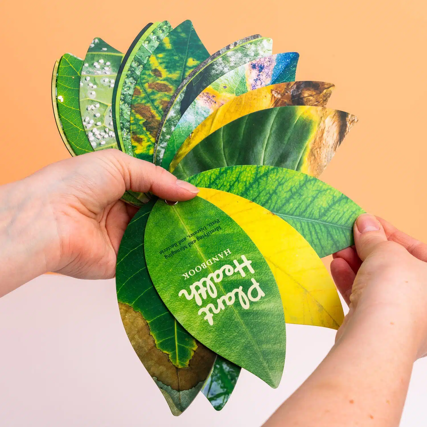 Handbuch für gesunde Pflanzen