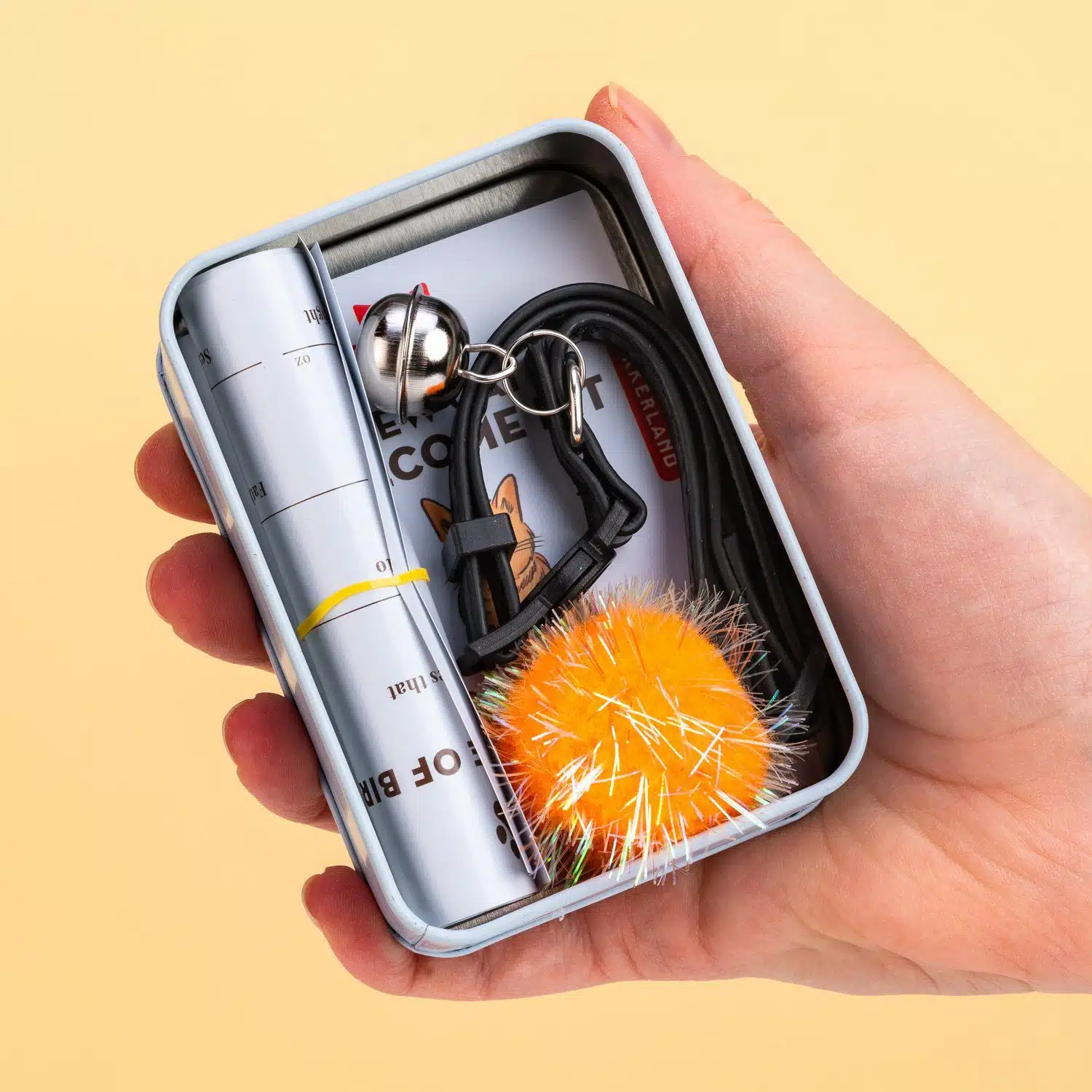 Neues Katzen Willkommensset