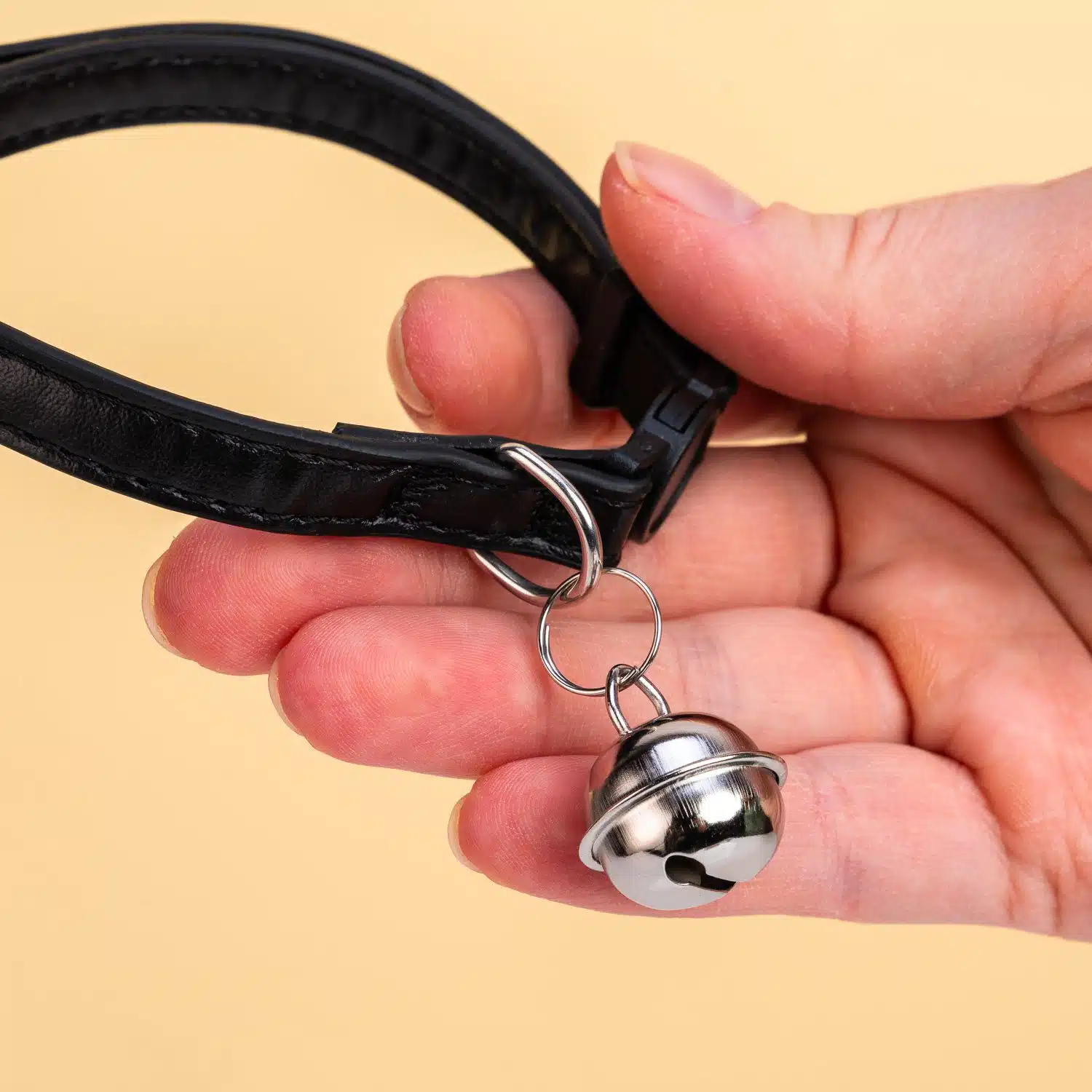 Neues Katzen Willkommensset