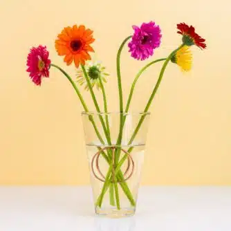 Kupferne Flower Frog