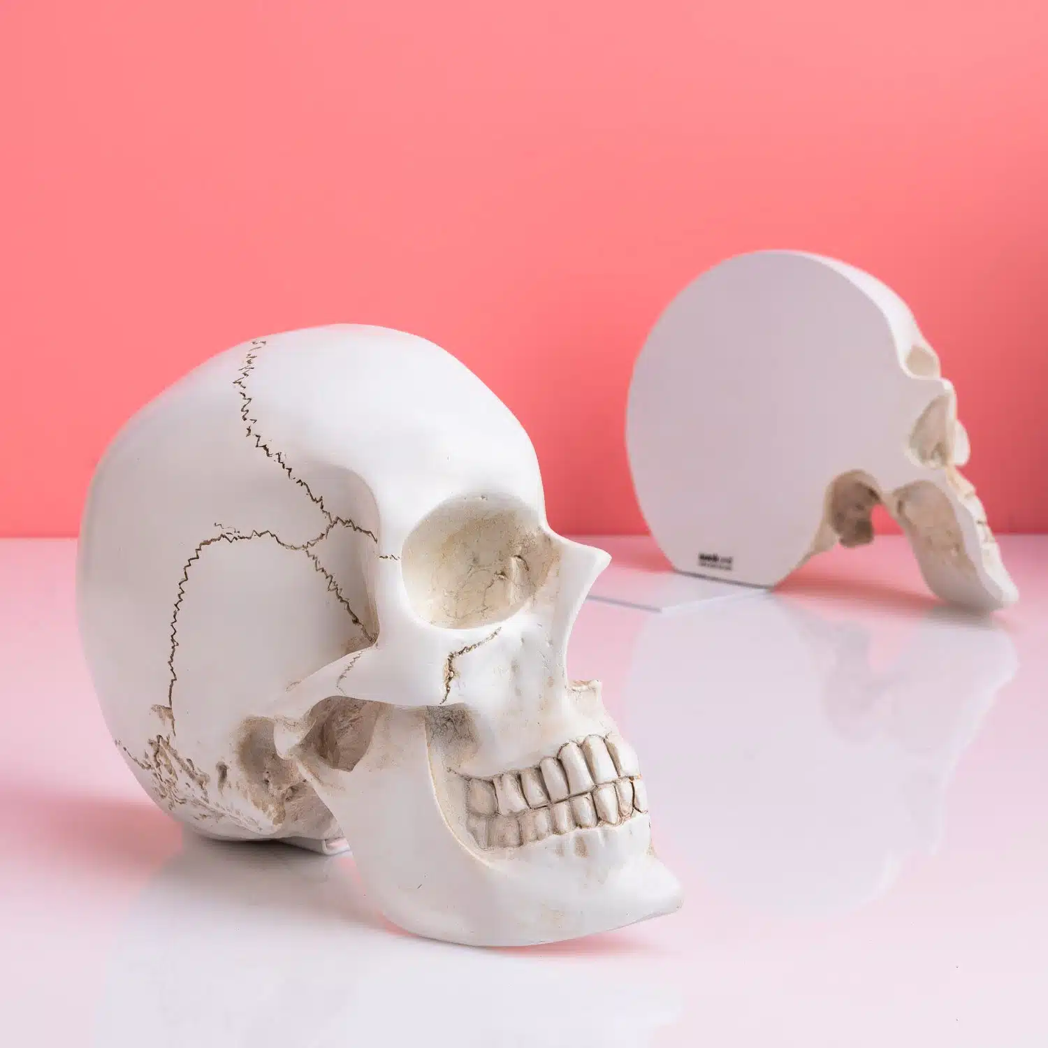 Schädel Buchstützen (Set von 2)