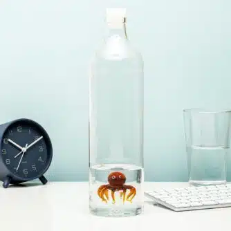 Wasserflasche - Oktopus