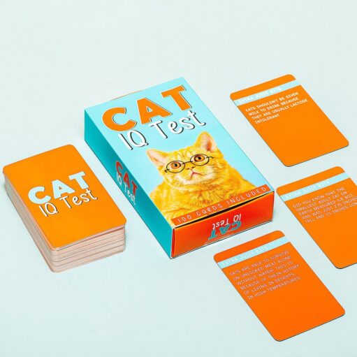 Katzen IQ-Test