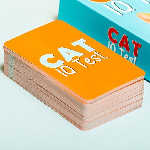 Katzen IQ-Test
