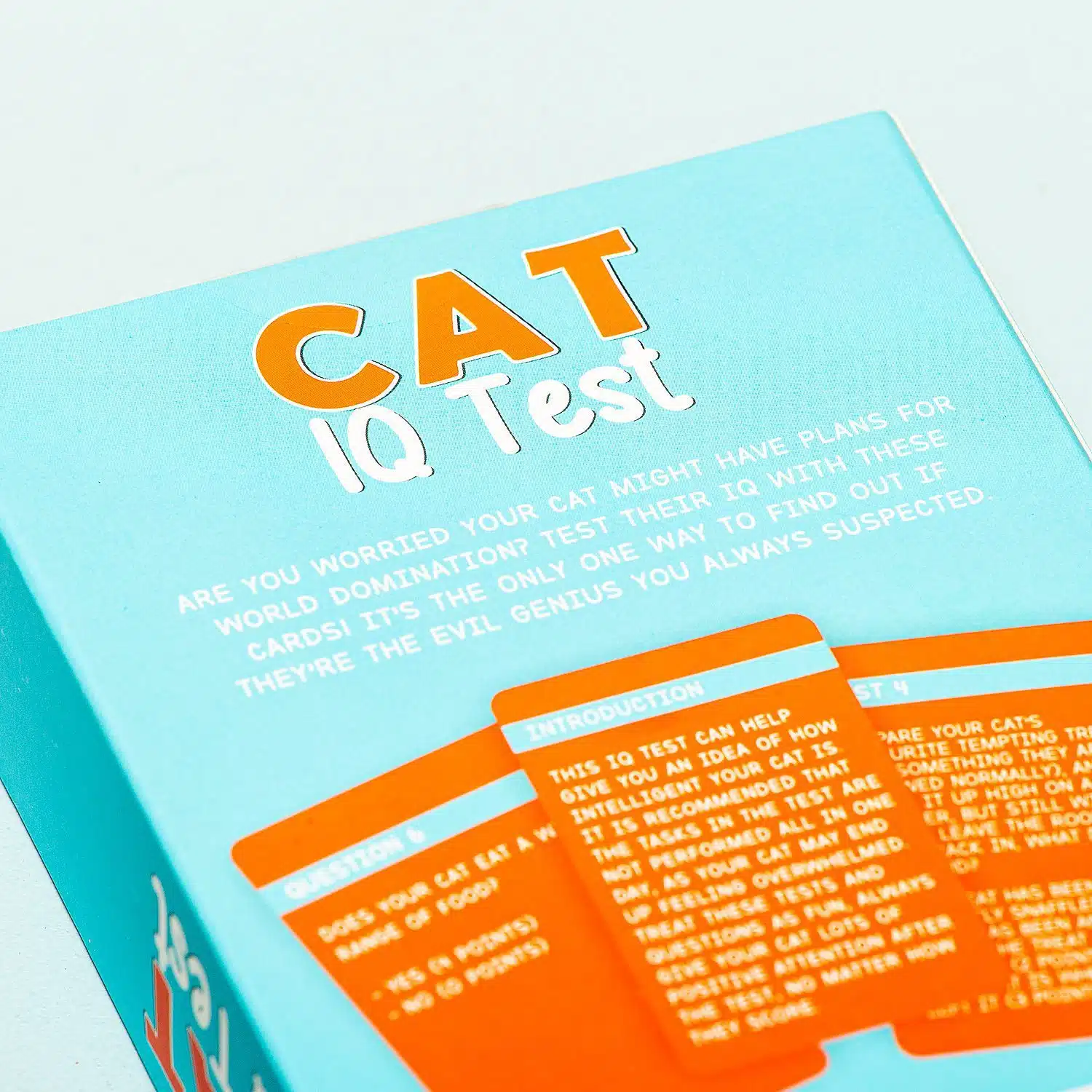 Katzen IQ-Test