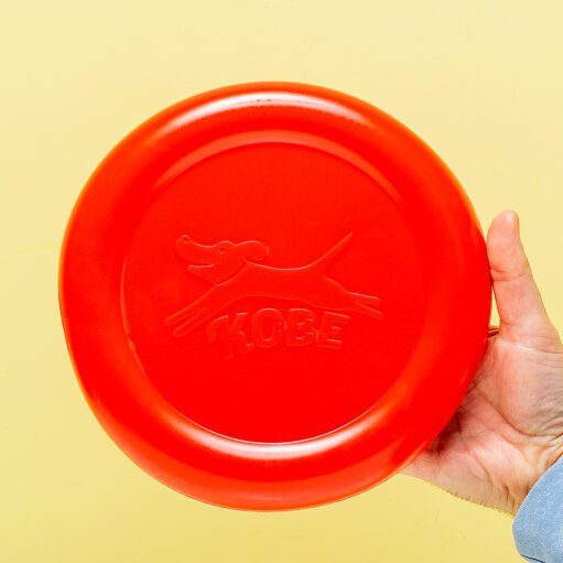 Frisbee für Hunde mit Speckduft