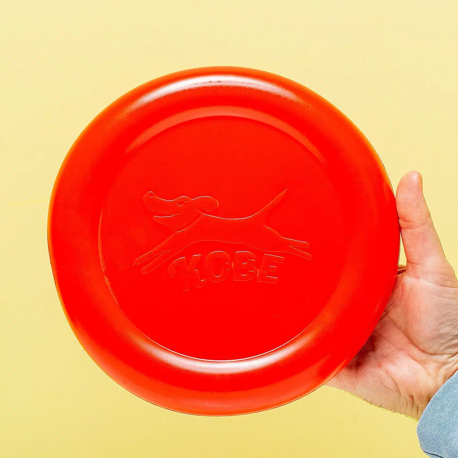 Frisbee für Hunde mit Speckduft