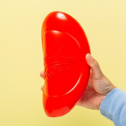 Frisbee für Hunde mit Speckduft