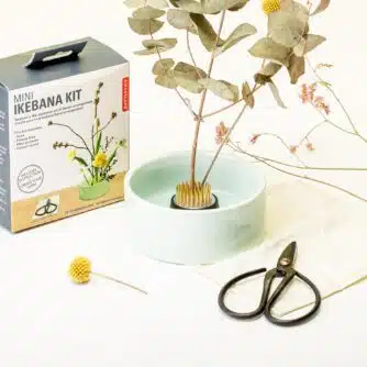 Mini Ikebana-Set