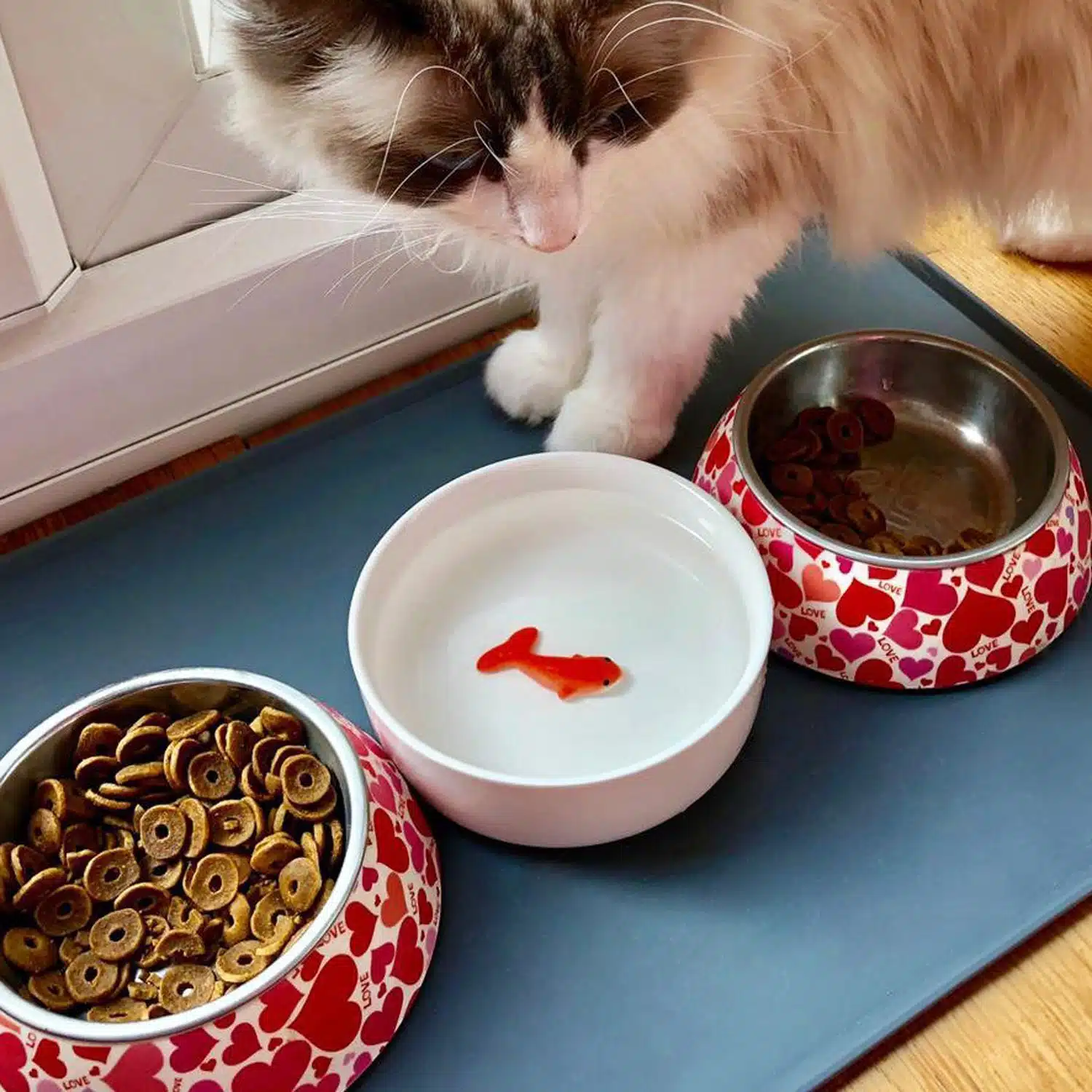 Wasserschale mit 3D-Fisch