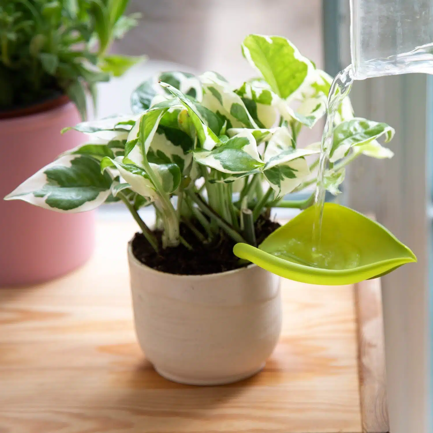 Leaflow Bewässerungstunnel (Set von 3)