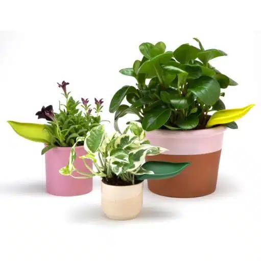 Leaflow Bewässerungstunnel (Set von 3)