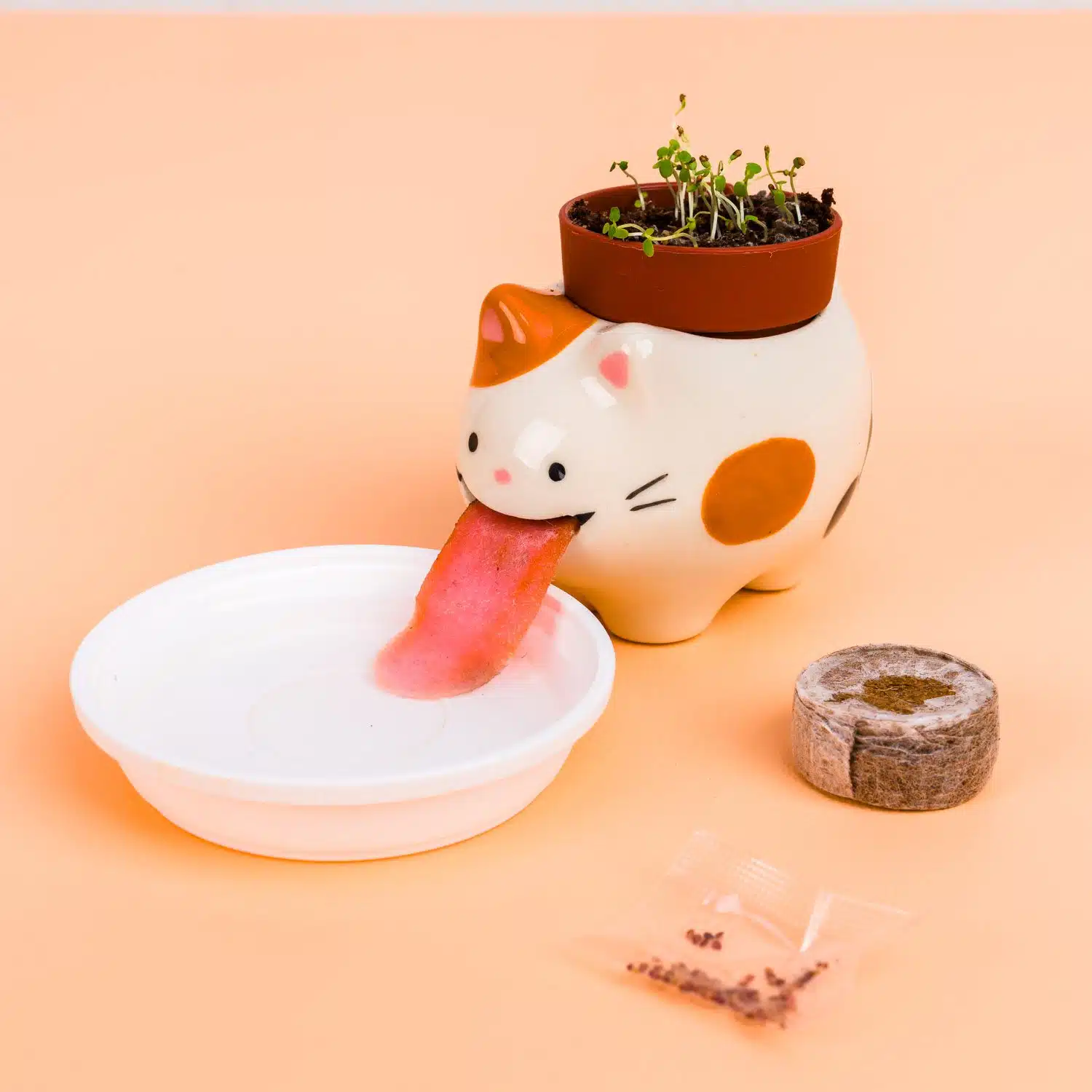 Katzenblumentopf mit Erdbeerpflanze