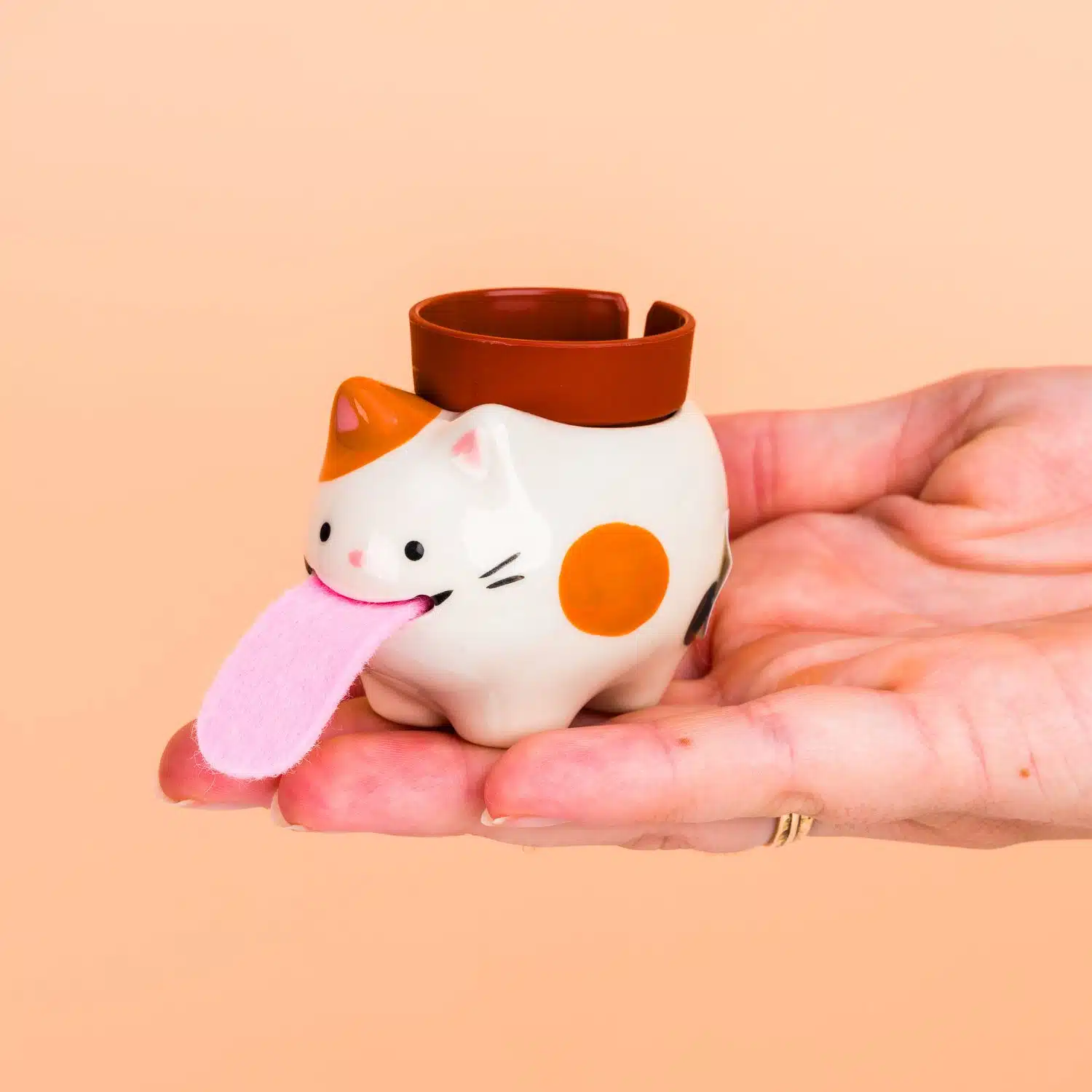 Katzenblumentopf mit Erdbeerpflanze