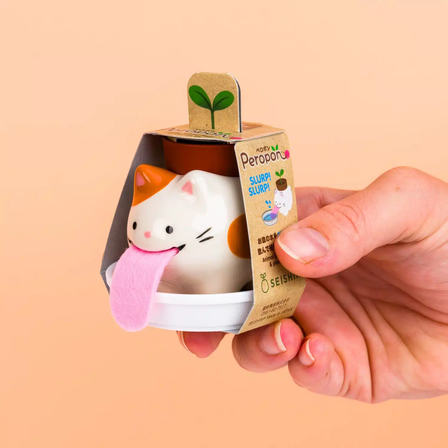 Katzenblumentopf mit Erdbeerpflanze