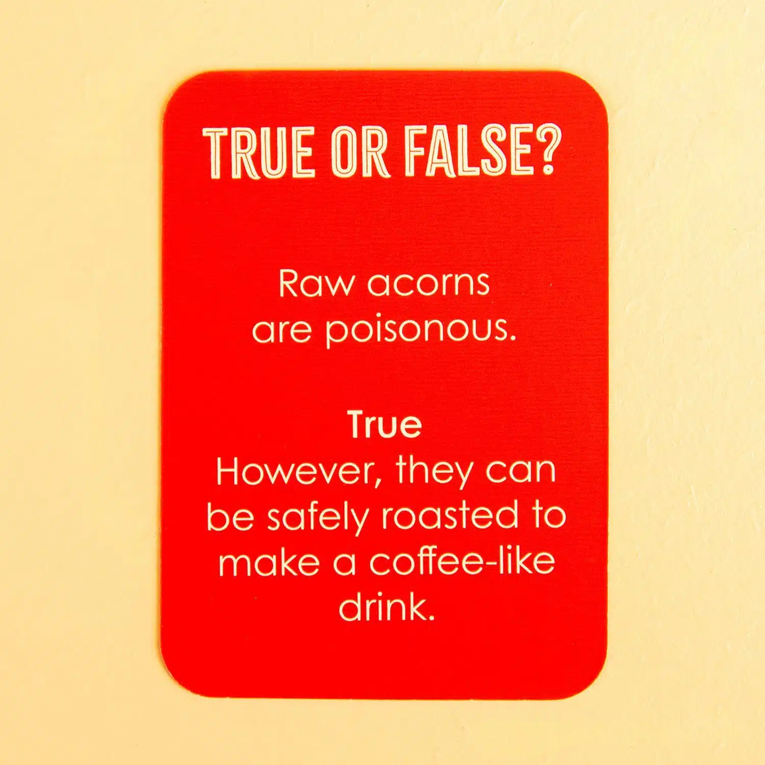 True or False in einer Dose