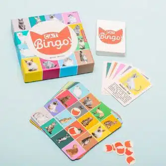 Haustier Bingo - Katze