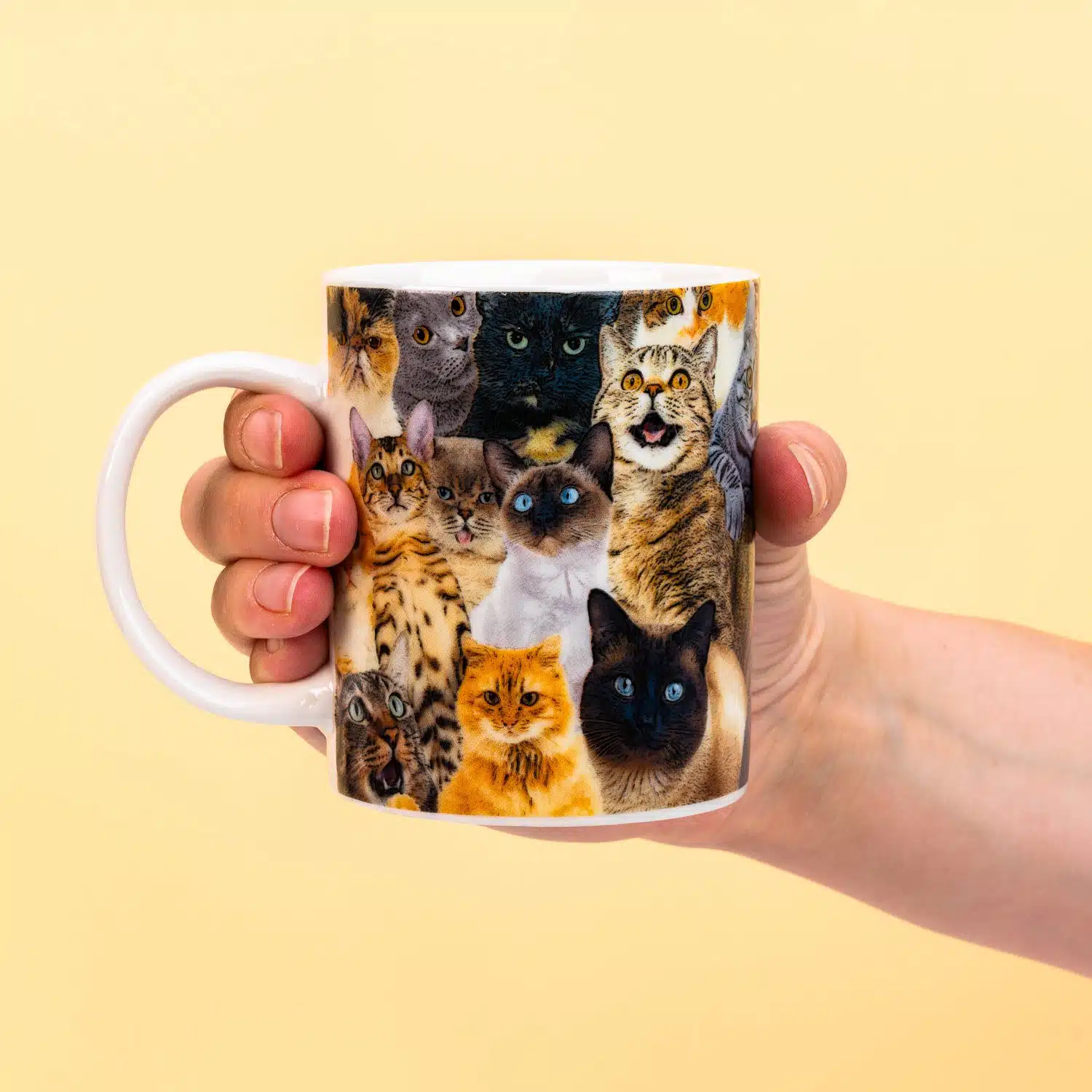 Crazy Cat Tasse
