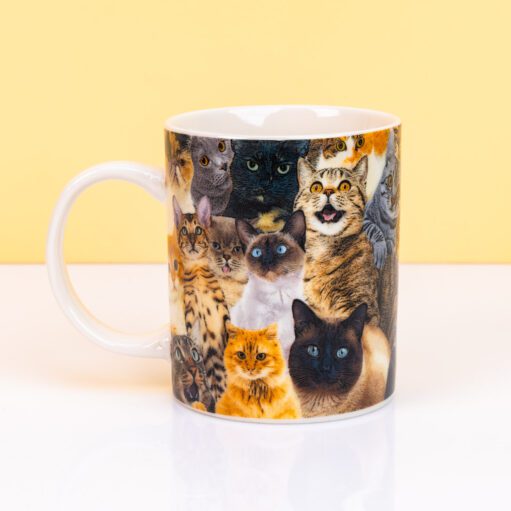 Crazy Cat Tasse
