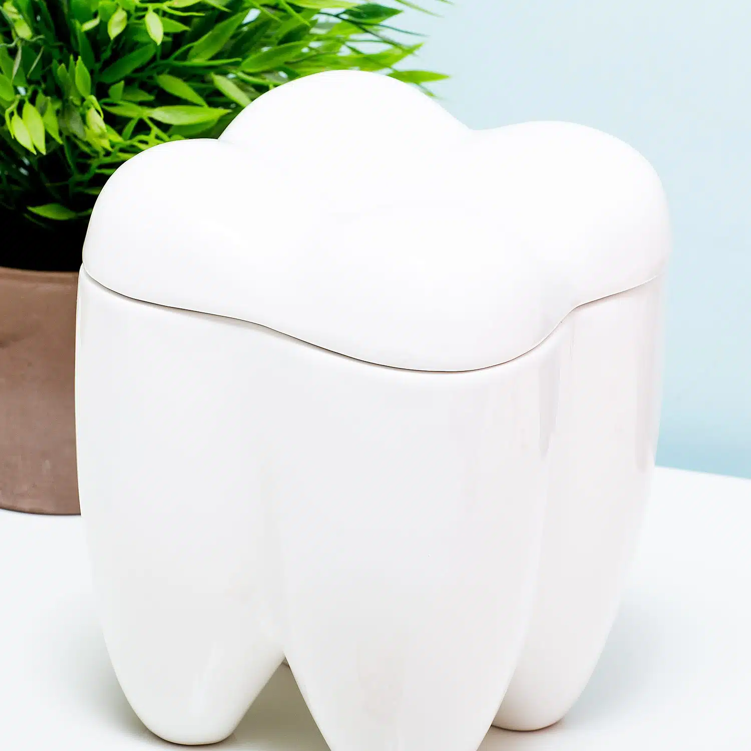 Sweet Tooth Bonbondose