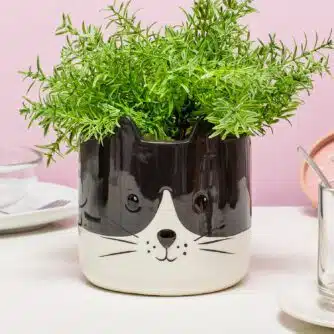 Katzen-Blumentopf