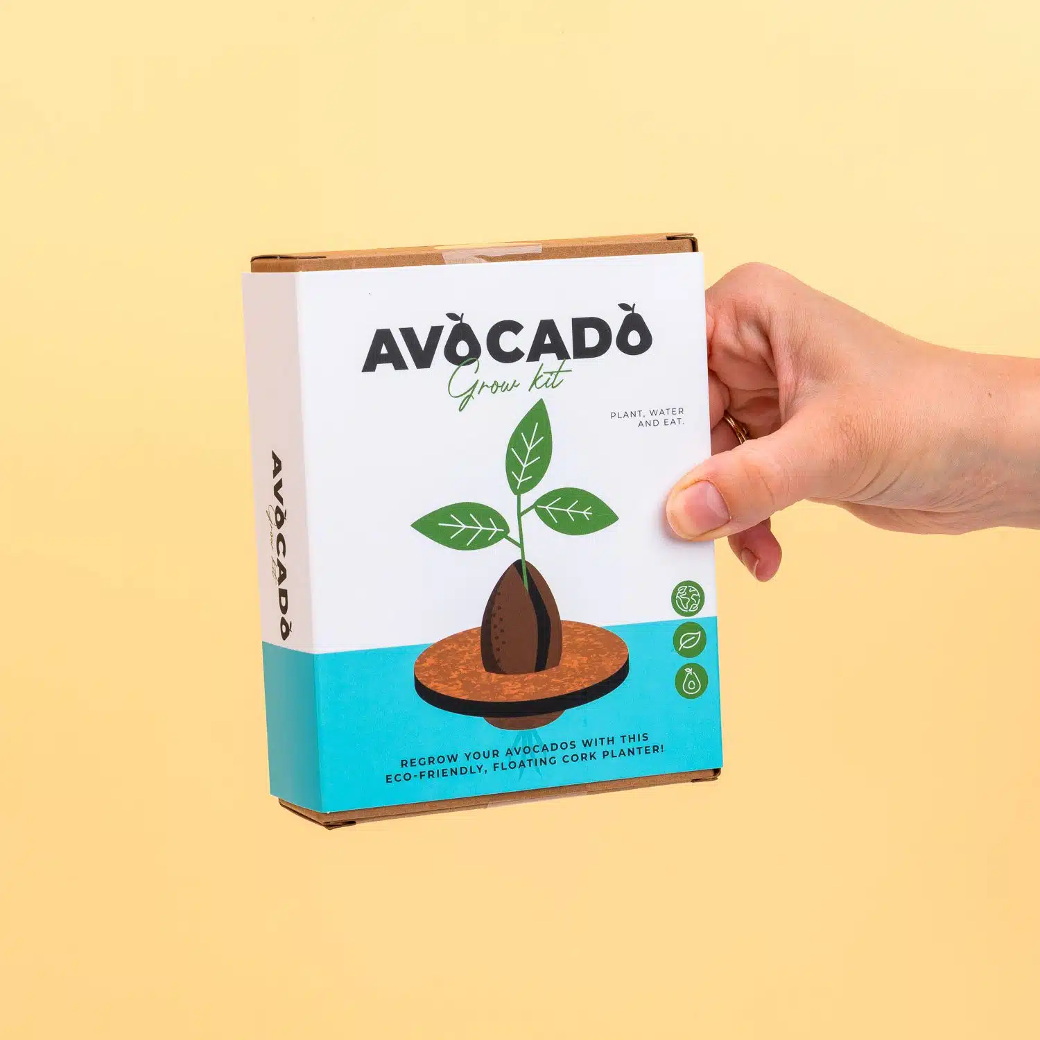 Kork Keimset für Avocados