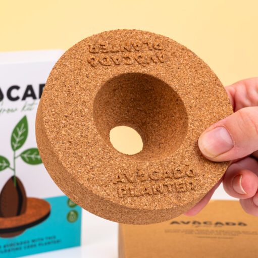 Kork Keimset für Avocados
