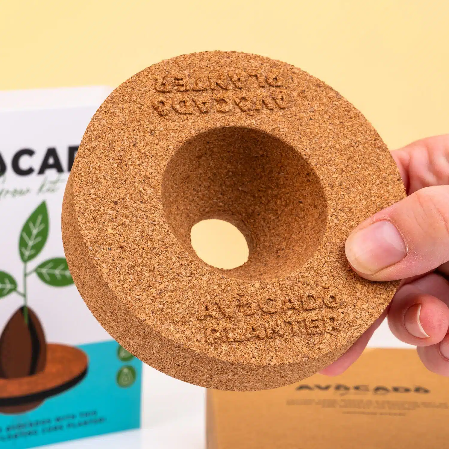 Kork Keimset für Avocados