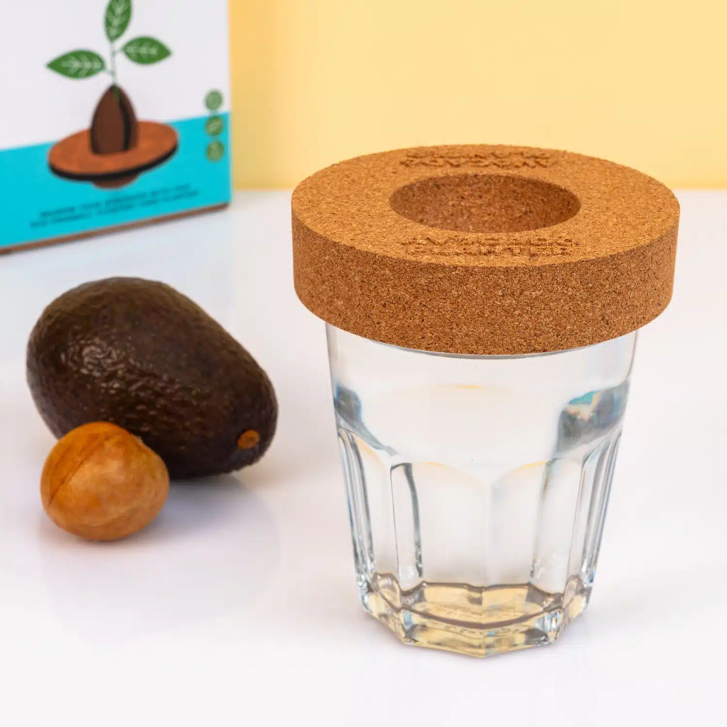 Kork Keimset für Avocados