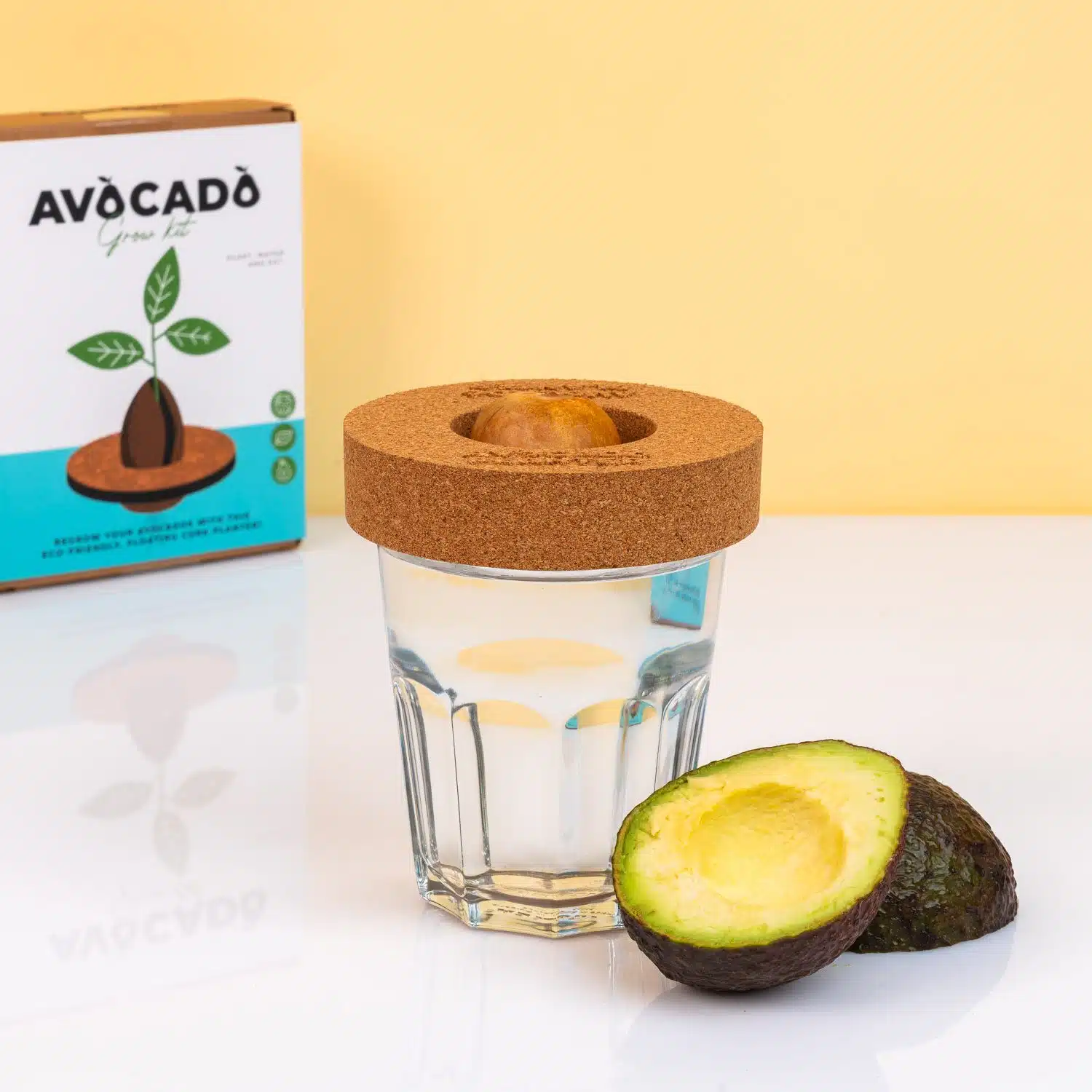 Kork Keimset für Avocados