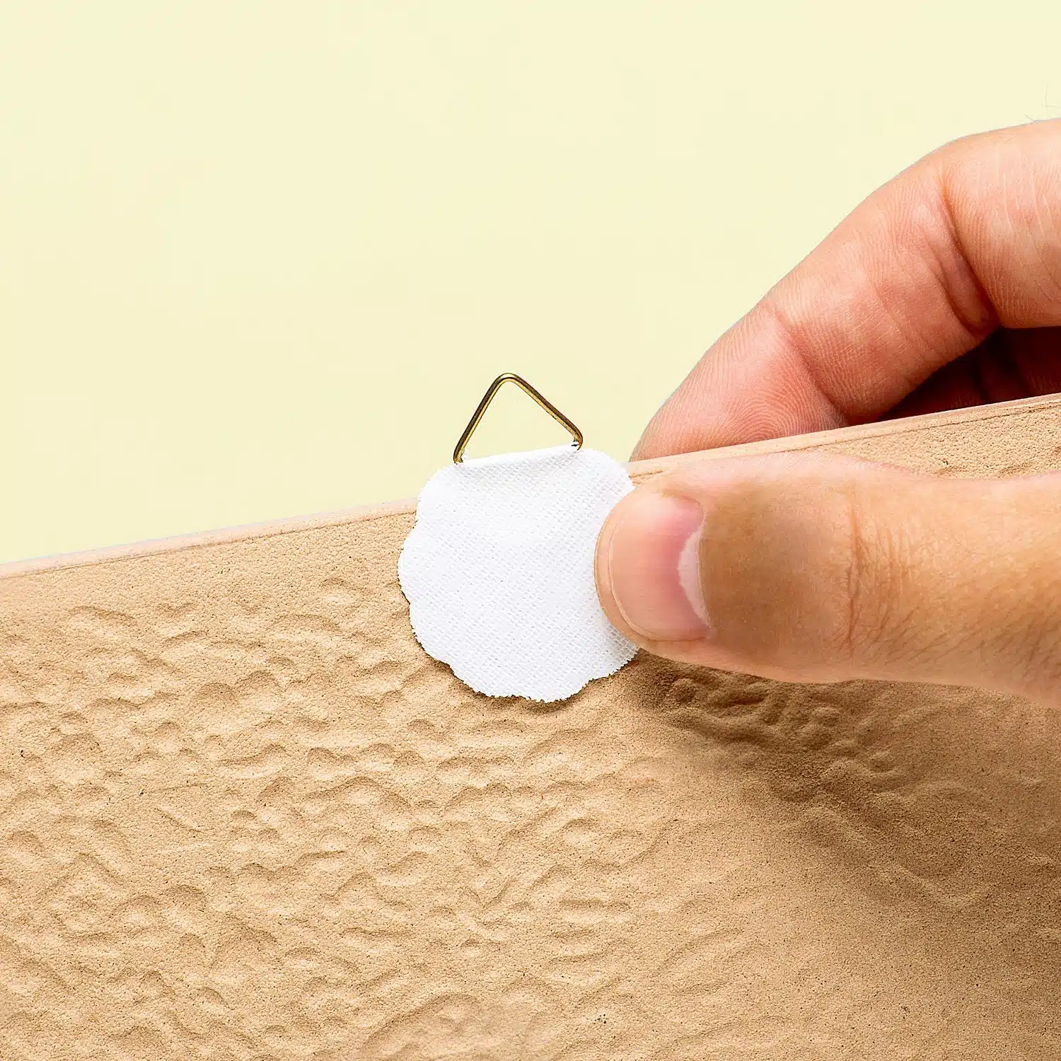 Kachel Eat Pussy, It's Vegan