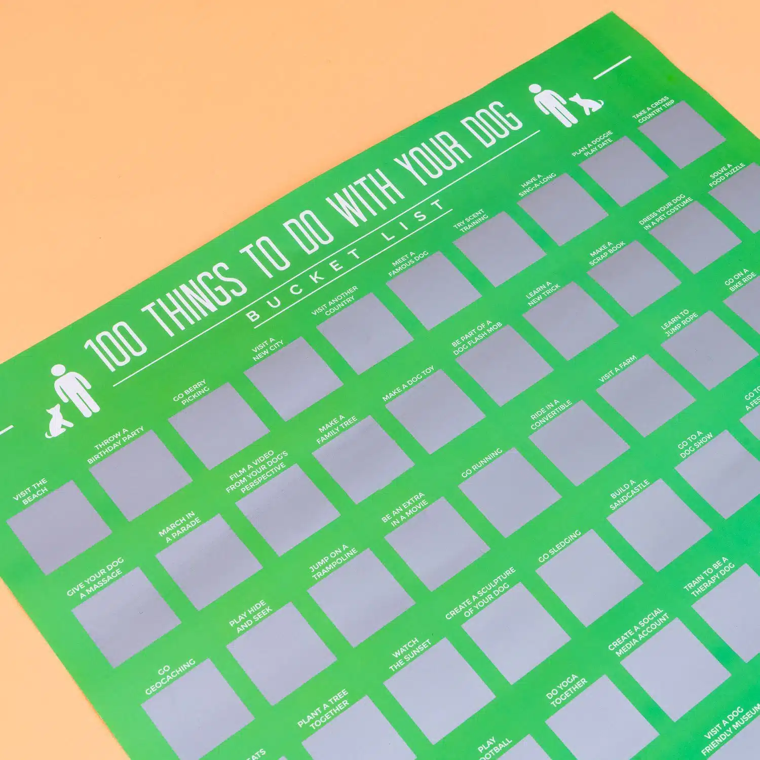 100 Things to do with your dog Rubbelposter