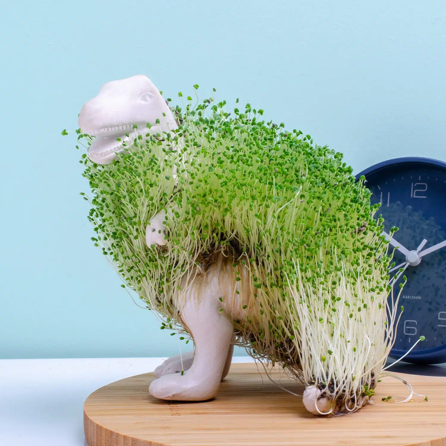 Dino blumentopf mit samen