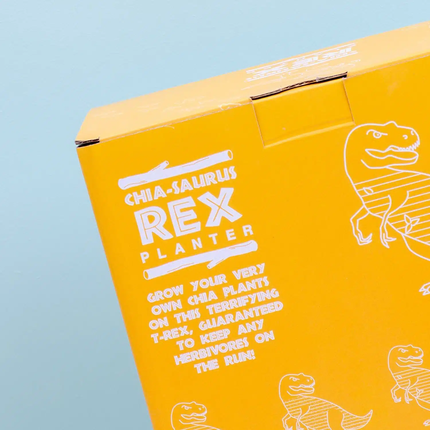 Dino blumentopf mit samen