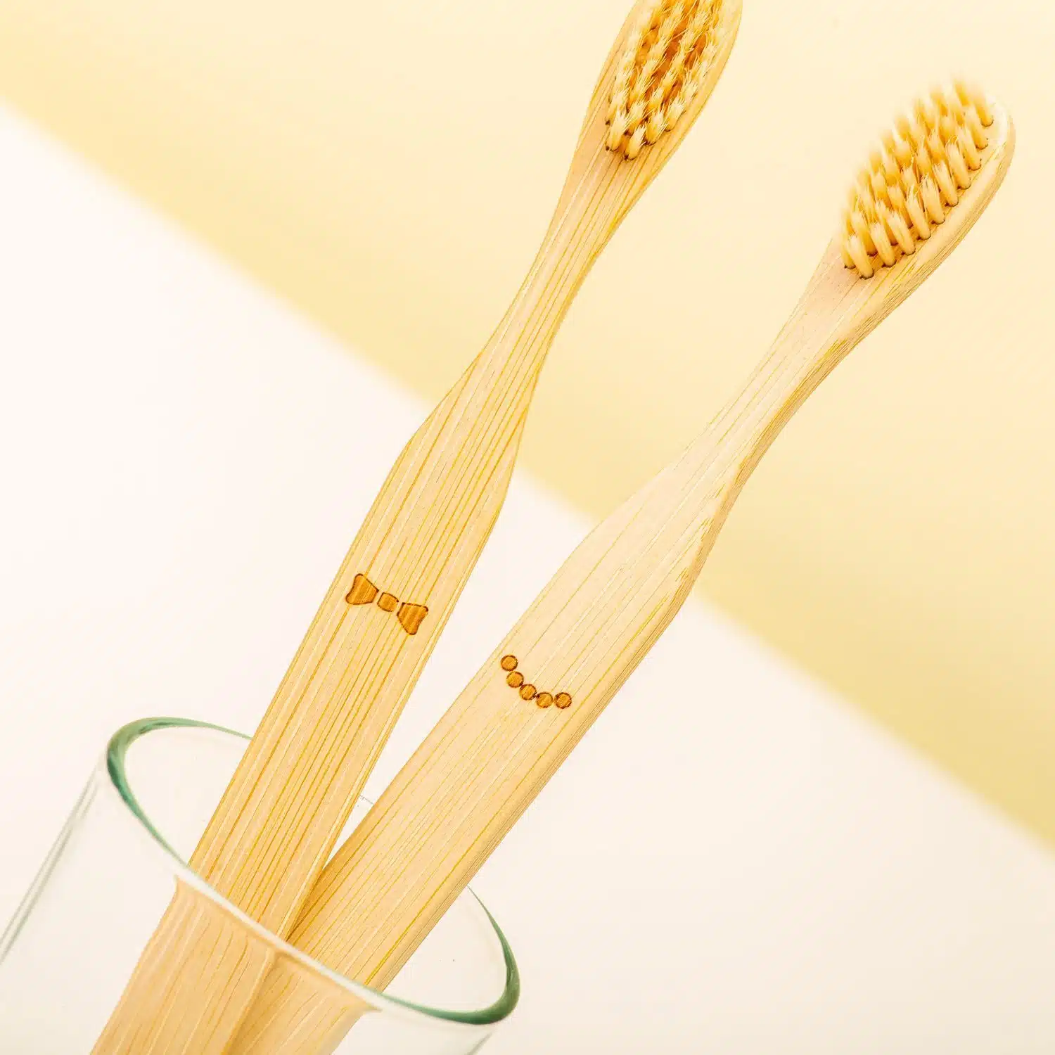Bambuszahnbürsten (Set von 2)