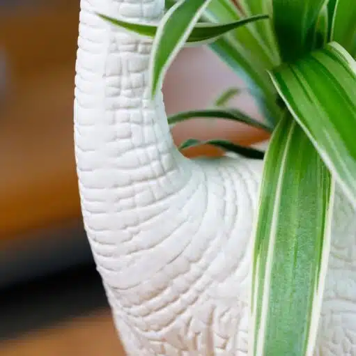 Dinosaurier Blumentopf