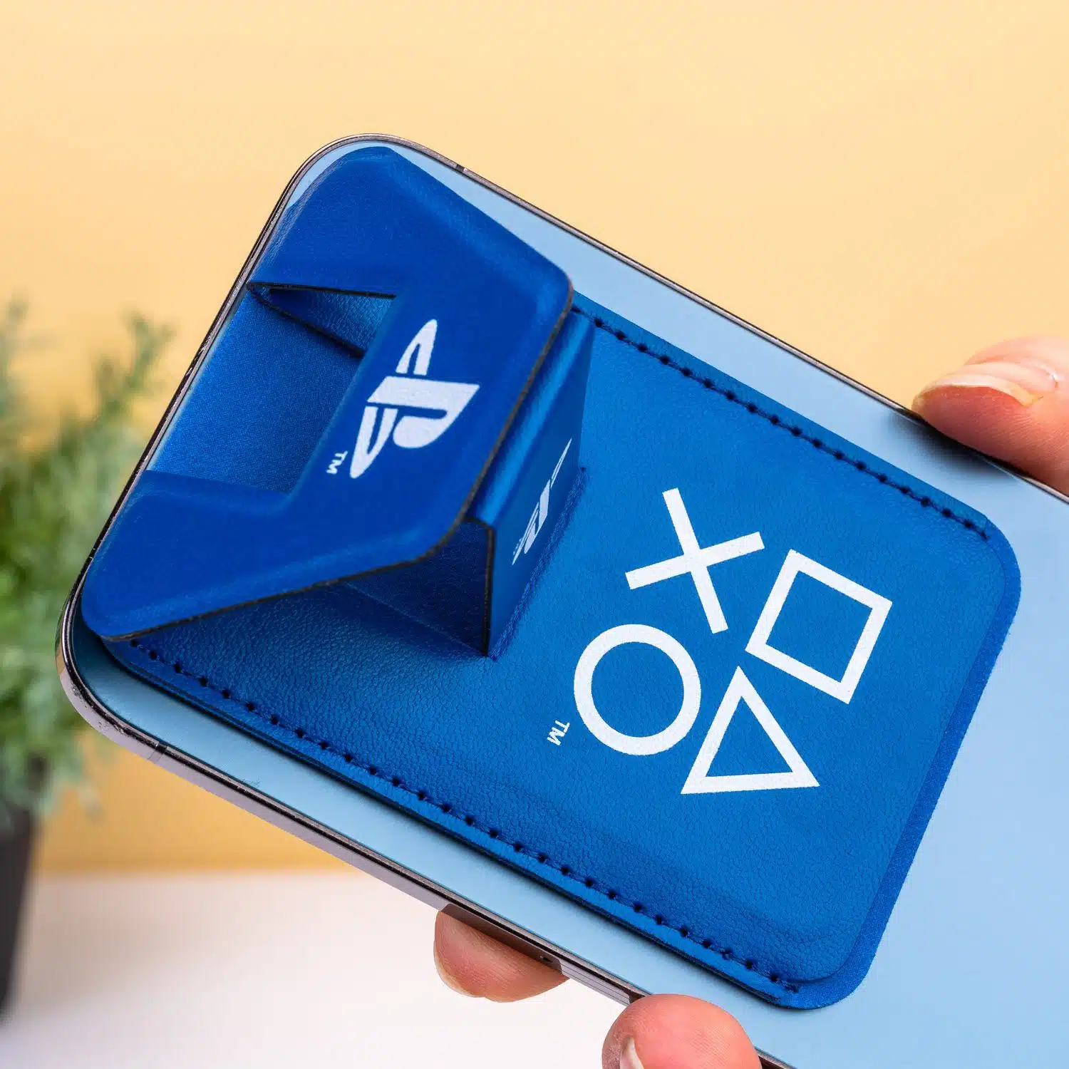 PlayStation Kartenhalter und Telefonständer