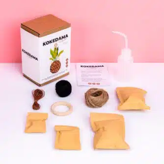DIY Kokedama Set