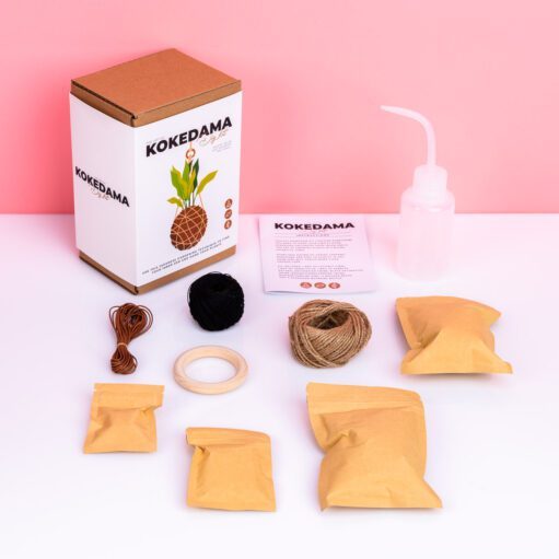 DIY Kokedama Set